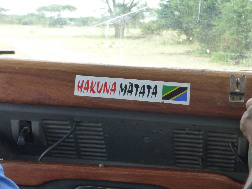 Hakuna Matata = pas de problème en swahili, pumba ne nous avait pas menti